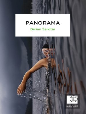 cover image of Panorama